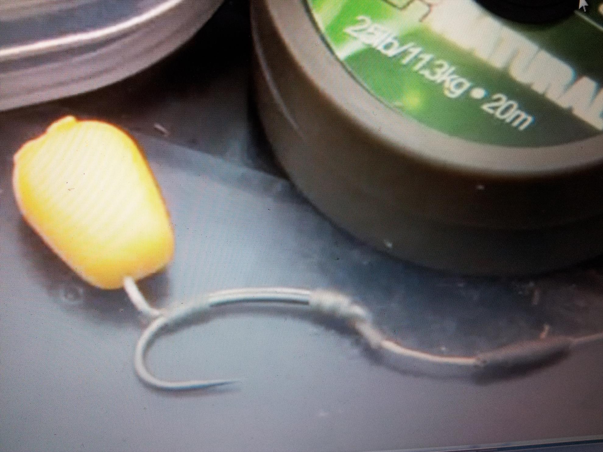 Monturi - 20130124194323.jpg